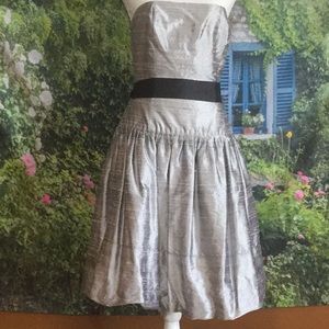 Molly B: Strapless Silver Silk dress, Sz 6.